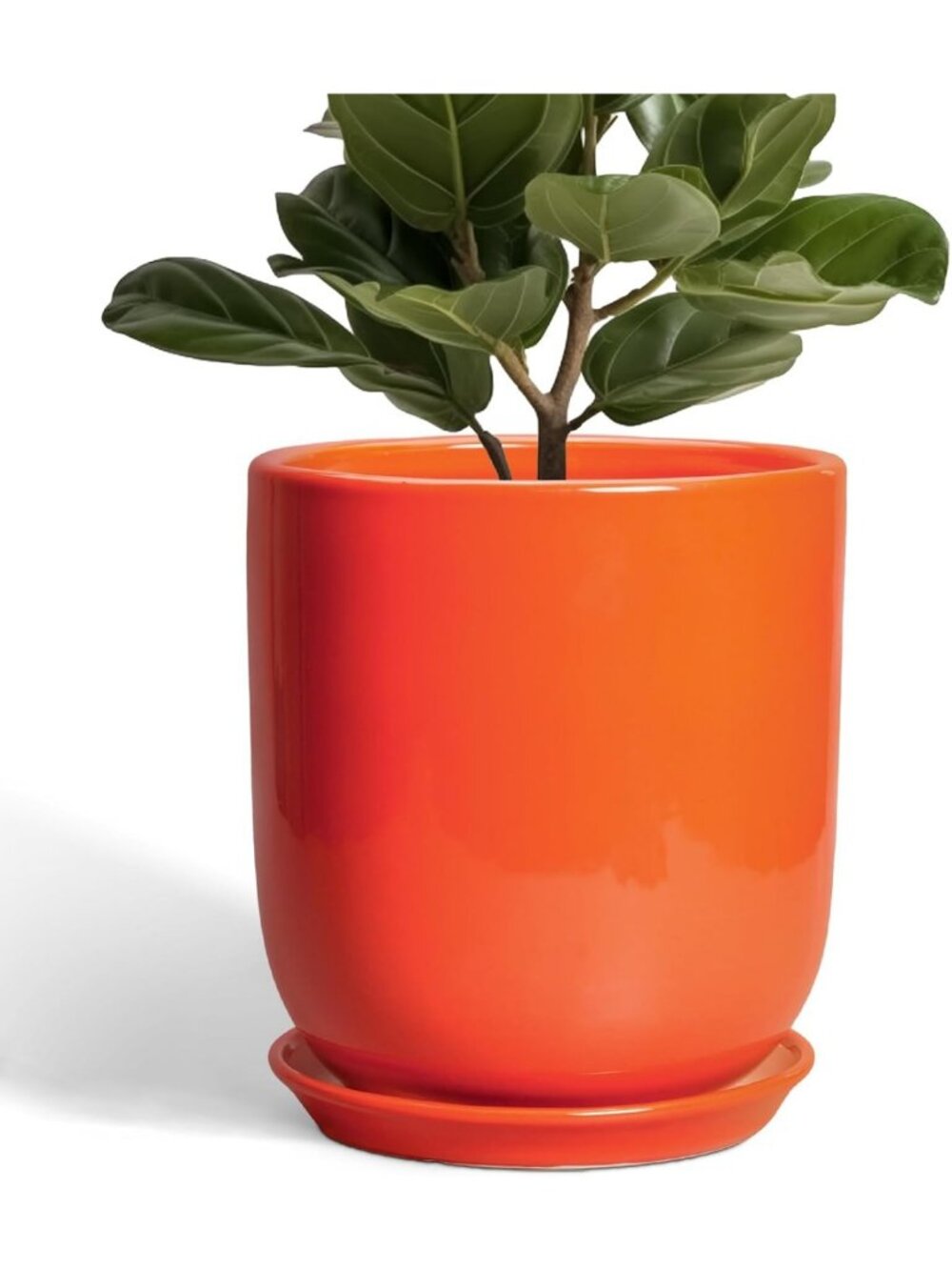 10" Ceramic Indoor Planter with Drainage & Saucer - Modern Round Pot for Home
